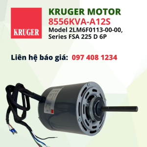 Motor Kruger 8556KVA-A12S (Model 2LM6F0113-00-00, Series FSA 225 D 6P)