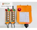 Bộ điều khiển cẩu trục TELECRANE  F24-6D, F24-8D, F24-10D, F24-12D, F24-60D - 1 cấp, 2 cấp và 5 cấp tốc độ